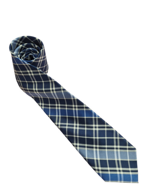 シルクネクタイ/ブルーチェック/ビジネス/会議/出張/リモート/ギフト/